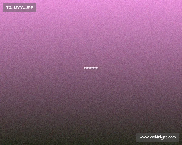 珠海哪里有改装车行